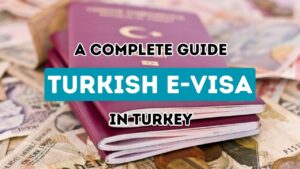 Your Ultimate Guide to Obtaining a Turkish E-Visa